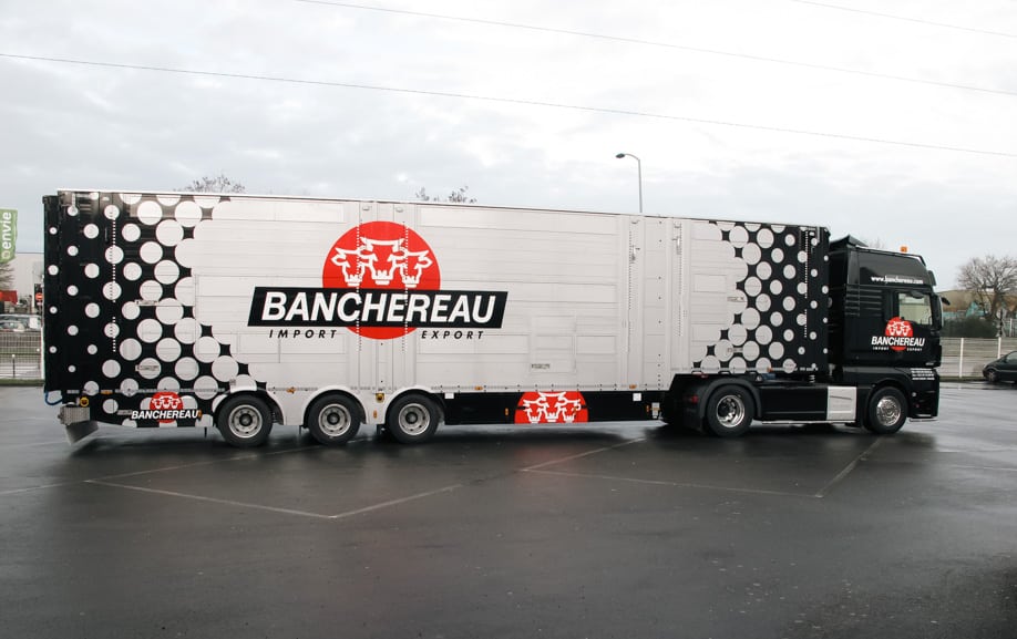 Camion personnalisé avec une peinture effet métallisé et finitions brillantes